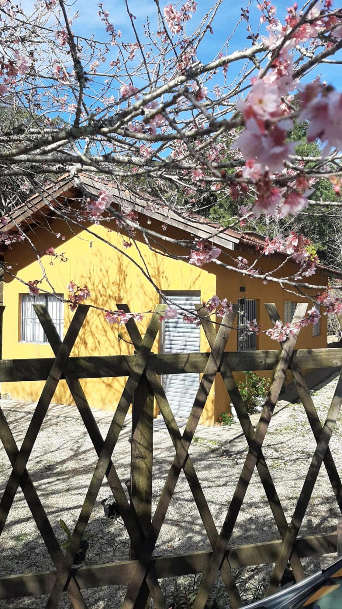 Casa Kiiro, Um Ambiente Tranquilo E De Sossego. Villa Santo Antônio do Pinhal Exteriör bild